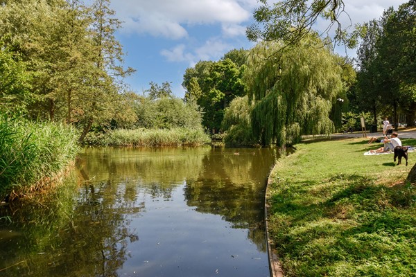 Photo - For sale: Henriëtte Ronnerstraat 1H, 1073 KM Amsterdam